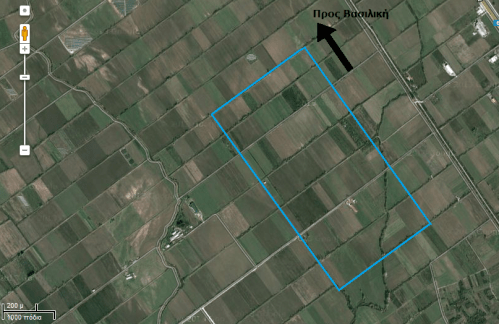 χαρτης_βασιλικης_1